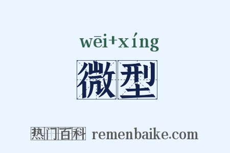 微型是什么意思的图片